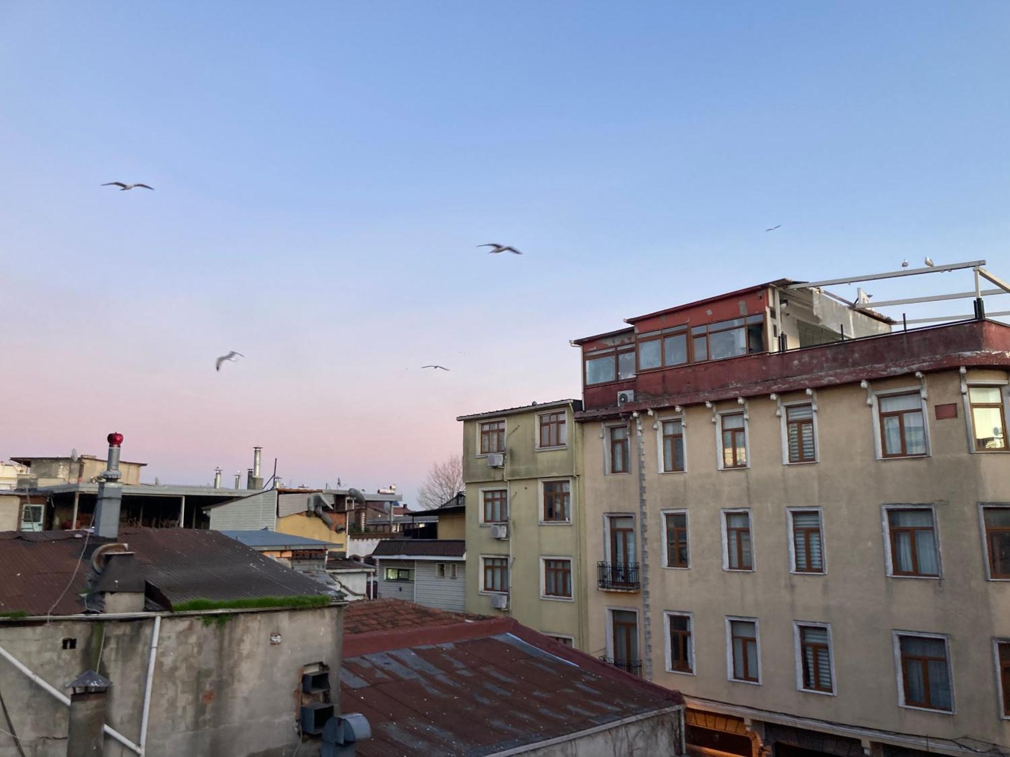 Ulusoy Old City Istanbul Exterior photo